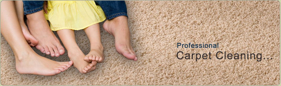 carpet cleaning in greenville sc
