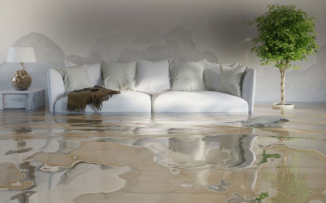 Since standing water can create mold, it is vital that you ensure all water has been extracted