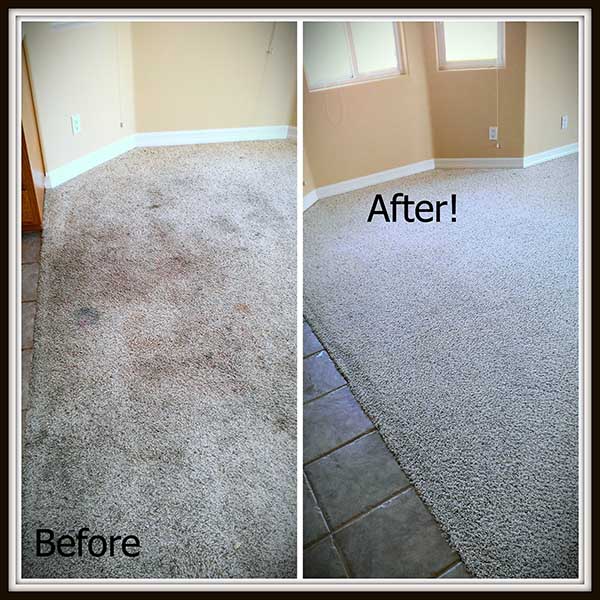 carpet cleaning in Easley SC