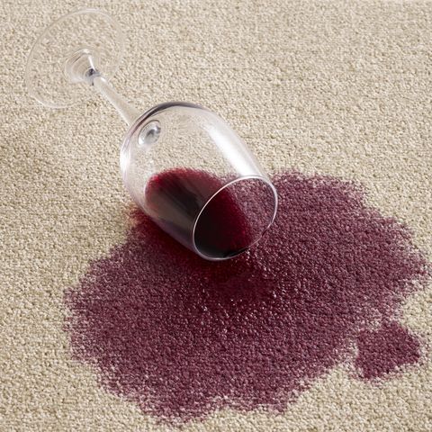 How to Get Pet Stains Out of a Rug