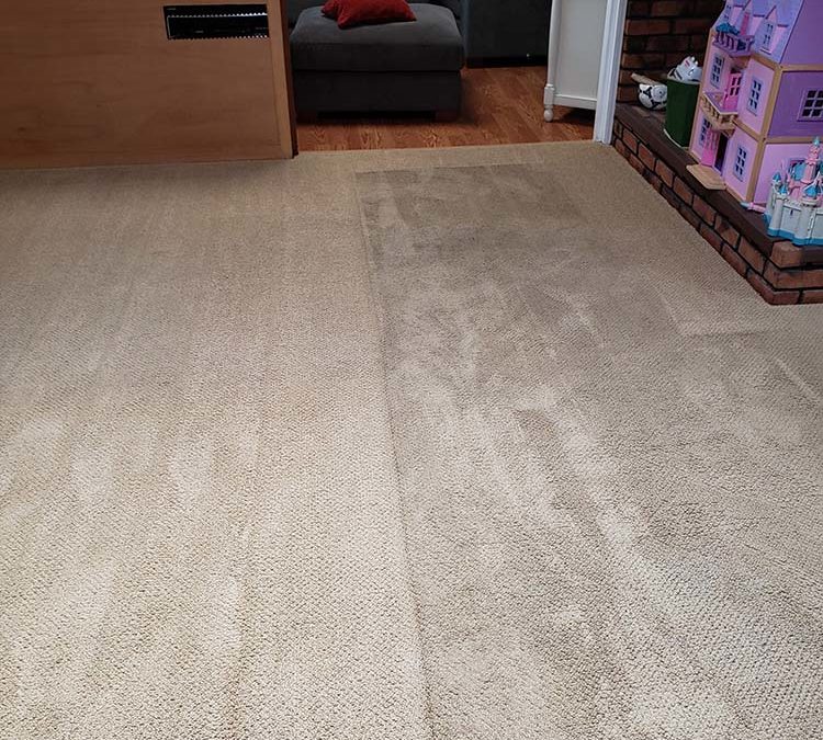 Advantages of Professional Carpet Cleaning