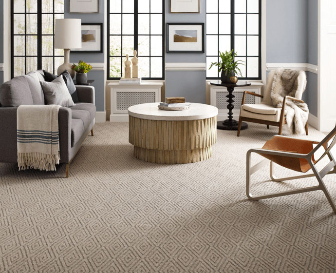 Carpet Cleaning Services in Greenville SC: Keeping Your Carpets Fresh and Clean